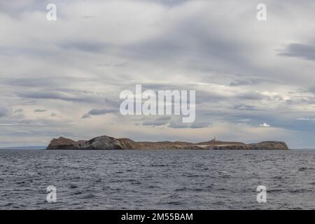 Im Naturschutzgebiet der Isla Magdalena gibt es eine Kolonie von 40,000 wilden Pinguinen Stockfoto