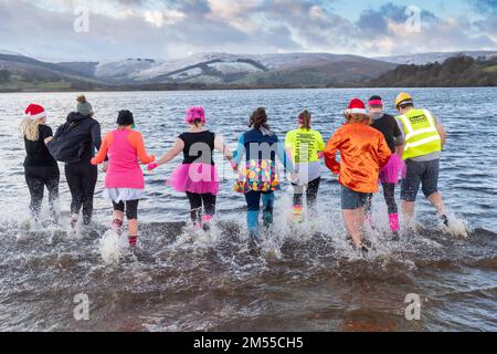 26. Dezember 2022 - Eine Gruppe harter Eltern wehrte sich gegen das kalte Wasser von Semerwater in den Yorkshire Dales, um Spenden für den Hawes Junior Football Club in Wensleydale zu sammeln. Semerwater liegt 820 Meter über dem Meeresspiegel und war voller Schneewasser, das letzte Woche von den umliegenden Fells strömte. Die Lufttemperatur war 1c Grad, aber mit windchill fühlte es sich eher wie 4c Grad Tee, Kaffee war verfügbar, um sie wieder aufzuwärmen! Kredit: Wayne HUTCHINSON/Alamy Live News Stockfoto