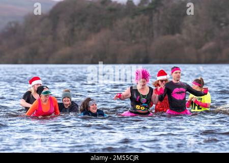 26. Dezember 2022 - Eine Gruppe harter Eltern wehrte sich gegen das kalte Wasser von Semerwater in den Yorkshire Dales, um Spenden für den Hawes Junior Football Club in Wensleydale zu sammeln. Semerwater liegt 820 Meter über dem Meeresspiegel und war voller Schneewasser, das letzte Woche von den umliegenden Fells strömte. Die Lufttemperatur war 1c Grad, aber mit windchill fühlte es sich eher wie 4c Grad Tee, Kaffee war verfügbar, um sie wieder aufzuwärmen! Kredit: Wayne HUTCHINSON/Alamy Live News Stockfoto