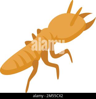 Isometrischer Vektor des Symbols „Wild ANT“. Riesenameisenbär. Zungentier Stock Vektor