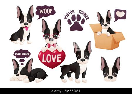 Setze süße Boston Terrier Sticker, cooles süßes Hündchen im Cartoon-Stil isoliert auf weißem Hintergrund. Süßer Hund, Aufdruck. Vektordarstellung Stock Vektor