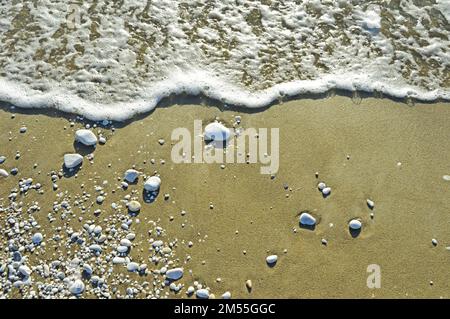 Meeresschaum und weiße Kieselsteine unterschiedlicher Größe auf dem nassen Sand am Ufer des Ligurischen Meeres bei Pisa in Italien. Selektiver Fokus Stockfoto