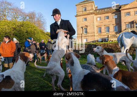 Hagley, Worcestershire, Großbritannien. 26. Dezember 2022. Ein aufregendes Pack von Hunden bei der Albrighton und Woodland Hunt, während sie sich zur traditionellen Jagd am zweiten Weihnachtsfeiertag in der Hagley Hall treffen. Worcestershire, an einem hellen und sonnigen Tag. Kredit: Peter Lopeman/Alamy Live News Stockfoto