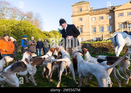 Hagley, Worcestershire, Großbritannien. 26. Dezember 2022. Ein aufregendes Pack von Hunden bei der Albrighton und Woodland Hunt, während sie sich zur traditionellen Jagd am zweiten Weihnachtsfeiertag in der Hagley Hall treffen. Worcestershire, an einem hellen und sonnigen Tag. Kredit: Peter Lopeman/Alamy Live News Stockfoto