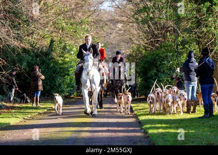 Hagley, Worcestershire, Großbritannien. 26. Dezember 2022. Bei der Albrighton and Woodland Hunt fahren Pferde und Hunde eine Spur entlang, während sie sich für die traditionelle Jagd am zweiten Weihnachtsfeiertag in der Hagley Hall treffen. Worcestershire, an einem hellen und sonnigen Tag. Kredit: Peter Lopeman/Alamy Live News Stockfoto