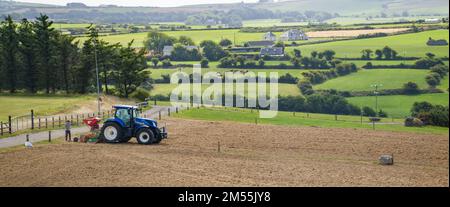 County Cork, Irland, 20. August 2022. Ein blauer Traktor sät an einem Sommertag in Irland ein gepflügtes Feld. Landwirtschaftliche Arbeit auf einem irischen Hof. Stockfoto