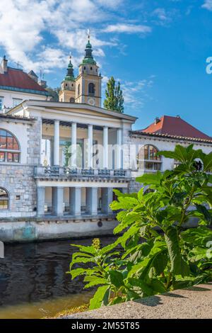 LJUBJANA, SLOWENIEN - NOVEMBER 05,2022: Herrlicher zentraler architektonischer Markt in Ljubljana, Hauptstadt Sloweniens, erbaut von Joze Plecnik Stockfoto