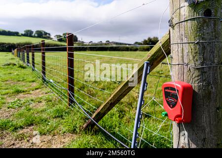 Elektrozaunenergischer am Ende eines Zauns in der Mitte eines Feldes. Stockfoto