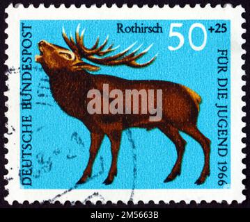 DEUTSCHLAND - CA. 1966: Ein in Deutschland gedruckter Stempel zeigt, dass der Cervus elaphus, eine der größten Hirscharten, in Europa und in Teilen lebt Stockfoto