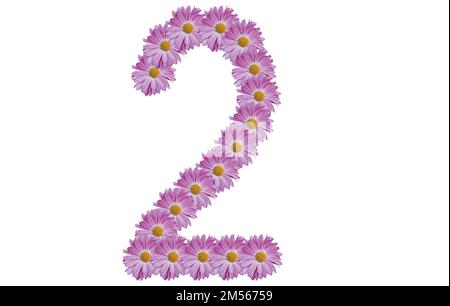 Nummer zwei mit pinkfarbenen Blüten auf weißem Hintergrund. Konzept des Frühlings. Stockfoto