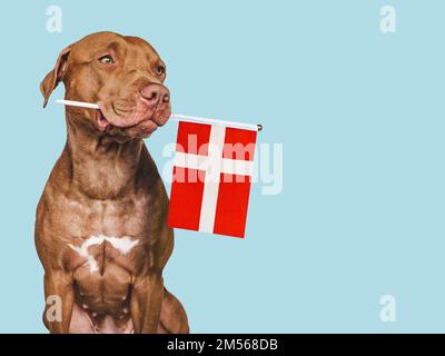 Charmanter, bezaubernder Welpe mit der Nationalflagge Dänemarks. Nahaufnahme, drinnen. Studioaufnahme. Herzlichen Glückwunsch an die Familie, die Lieben, die Verwandten, die Freunde Stockfoto