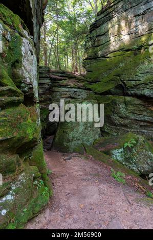 Wanderweg durch einen Wandbruch auf dem Ledges Trail im Cuyahoga Valley National Stockfoto