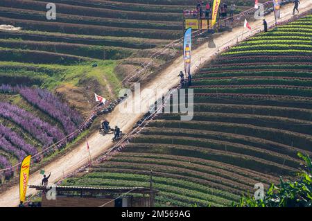 Männer des Hmong-Bergstammes fahren Formula hmong (der hölzerne Wagen, der die Lebensart der Ureinwohner im Norden Thailands in Gang setzt). Während der Neujahrsfeier von Hmong. Im Dezember oder Januar feiern die Hmong ihr neues Jahr mit dem Namen noj PEB Caug (ausgesprochen noch PE Chao). Eine größere öffentliche Feier findet an einem Veranstaltungsort im Freien statt. Es gibt viele Aktivitäten während dieser Veranstaltung, wie z. B. Spinning-Spiele, Arrow Shooting-Wettbewerbe, Singen und Tanzen und Werbespots. Junge Männer und Frauen tragen farbenfrohe Interpretationen traditioneller Kleidung, in der Hoffnung, einen Lebenspartner zu gewinnen. Besucher A Stockfoto