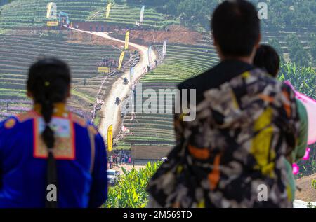 Männer des Hmong-Bergstammes fahren Formula hmong (der hölzerne Wagen, der die Lebensart der Ureinwohner im Norden Thailands in Gang setzt). Während der Neujahrsfeier von Hmong. Im Dezember oder Januar feiern die Hmong ihr neues Jahr mit dem Namen noj PEB Caug (ausgesprochen noch PE Chao). Eine größere öffentliche Feier findet an einem Veranstaltungsort im Freien statt. Es gibt viele Aktivitäten während dieser Veranstaltung, wie z. B. Spinning-Spiele, Arrow Shooting-Wettbewerbe, Singen und Tanzen und Werbespots. Junge Männer und Frauen tragen farbenfrohe Interpretationen traditioneller Kleidung, in der Hoffnung, einen Lebenspartner zu gewinnen. Besucher A Stockfoto