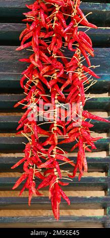 Rote Chili-Paprika auf Fensterläden trocknen Stockfoto