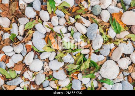 Natürlicher Hintergrund. Heruntergefallene Blätter auf farbenfrohen Kopfsteinpflaster Stockfoto