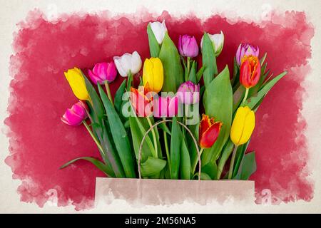 Strauß Tulpen Aquarell digitale Illustration auf rotem Hintergrund Viva Magenta. Frühlingsblumen-Postkarte. Tulpenblüte. Bunte Blumen. Hochzeitskarte für 8. März oder Ostern, Einladungen. Stockfoto