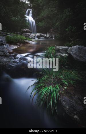 Eine vertikale Aufnahme eines engen Wasserfalls im Wald Stockfoto