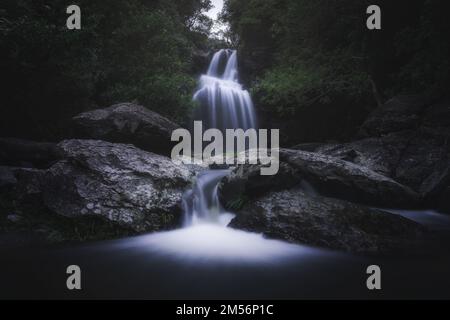 Ein schmaler Wasserfall im Wald Stockfoto