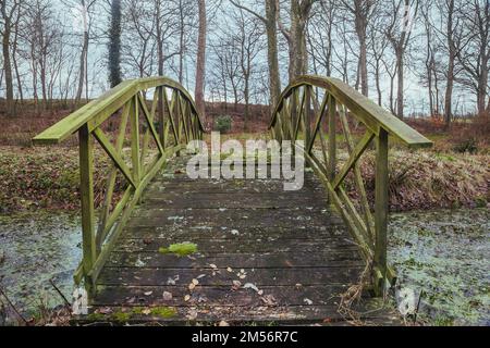 Alte, verrottete Brücke über einen Bach in Dänemark Stockfoto