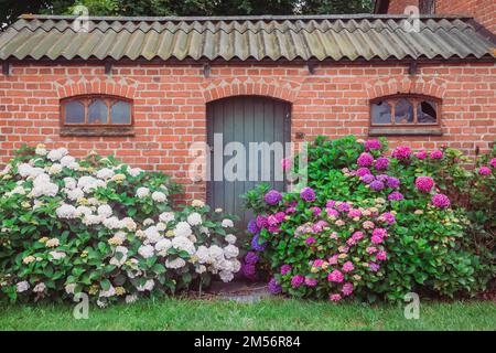 Altes Backsteinhaus mit einem großen Blumenbeet Stockfoto