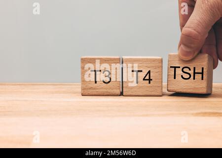 TSH, Diagnose von Schilddrüsenerkrankungen, medizinische Untersuchung von T3 und T4, Produktion und Sekretion von Hormonen, Hypothyreose oder Hyperthyreose, Holz Stockfoto