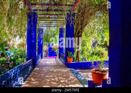 Offene Veranda (Gasse) mit Kletterweinen im Majorelle Garten in Marrakesch : auch rote Blumen von kniphofia auf der linken Seite und fantastische marokkanische Fliesen o Stockfoto