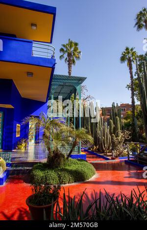 Teil des Blaus der Villa Majorelle und des berühmten Kaktusgartens, Palmen und dunkelroten Gartenpfaden (erstellt 1923). Dieser Garten wurde umgestaltet Stockfoto