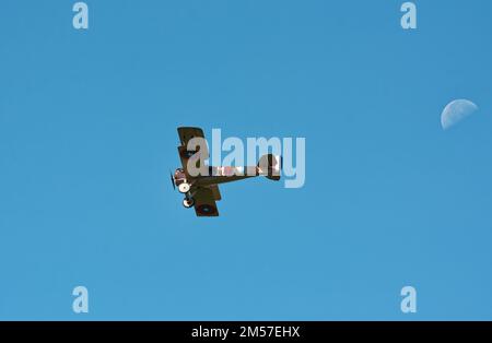 Ein 1914 französischer Zweiflugzeug-Flugmanöver aus dem 1. Weltkrieg in Nieuport 11 während einer Nachstellung des Krieges im American Heritage Museum. Hudson, Massachusetts. Stockfoto