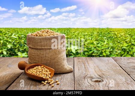 Sojabohnen in Leinensack und Holzschaufel auf dem Tisch mit grünem Feld als Hintergrund Stockfoto