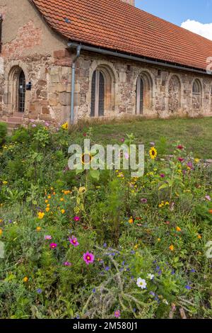 Garten mit Wildblumen in der Abtei Vessra in Kloster Vessra, Thüringen in Deutschland Stockfoto