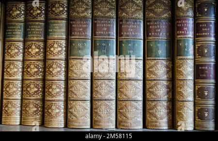 Alte, mit Leder gebundene Geschichtsbücher, einschließlich Bände von Macaulays Geschichte von England und Trevelyans Berichten von Garibadi. Stockfoto