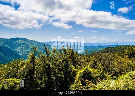 Landschaft rund um San Benedetto in Alpe, ein kleines Dorf in den toskanisch-emilianischen Apenninen, in der Provinz Forlì-Cesena, Italien Stockfoto