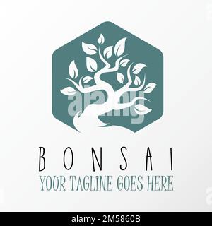 Einzigartiger erstaunlicher Bonsai-Baum in sechseckiger Bildgrafik Symbol Logo Design abstraktes Konzept Vektormaterial. Wird als Symbol für Tier oder Innenraum verwendet Stock Vektor