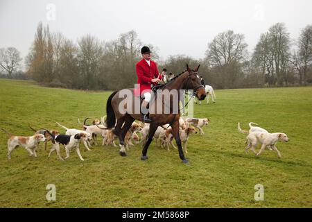 Reiter und ihre Hunde versammeln sich vor der traditionellen Fuchsjagd am zweiten Weihnachtsfeiertag auf einem Feld. Stockfoto