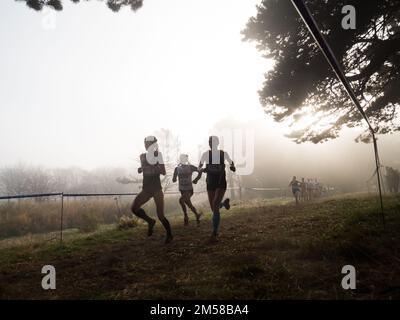 BRITISCHEN LEICHTATHLETIK CROSS CHALLENGE. Sefton Park Liverpool 26.11.16. Läufer konkurrieren bei Nebel. Stockfoto