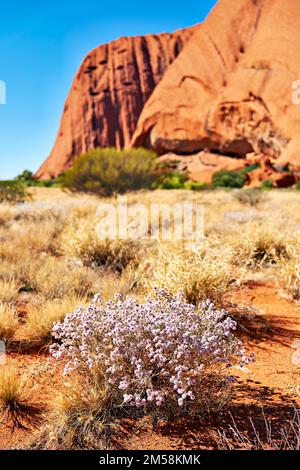 Wandern um den Uluru Ayers Rock. Nördliches Territorium. Australien Stockfoto