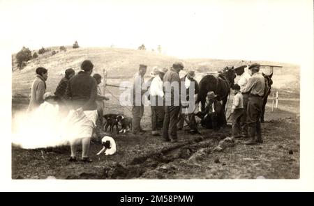 Landwirtschaft (Indianer lernen, ihre Pflüge anzupassen). 1923 - 1955. Central Plains Region (Kansas City, MO). Fotodruck. Innenministerium. Büro für Indianerangelegenheiten. Pine Ridge Agentur. 9/17/1947-. Fotos Stockfoto