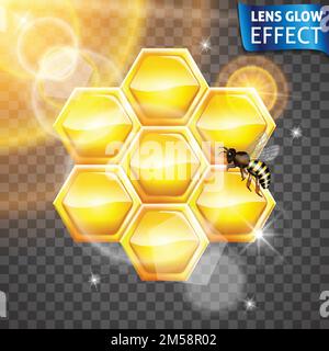 Leuchteffekt der Linse. Honigwabe, Biene, glühende Wirkung der Sonne. Helles Licht, Blendung, Objektiveffekt. Vektordarstellung Stock Vektor