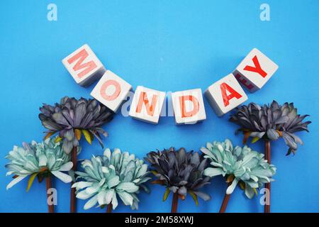 Montags-Buchstaben mit Gänseblümchen auf blauem Hintergrund Stockfoto