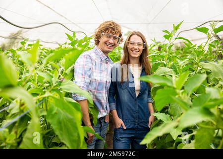 Zwei freudige Landwirtschaftler in Schutzbrille, die im Treibhaus stehen Stockfoto