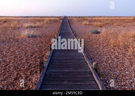 England, Kent, Dungeness, hölzerner Fußweg am Shingle Beach *** Lokale Bildunterschrift *** UK,United Kingdom,Great Britain,Britain,England,English,British,Kent Stockfoto