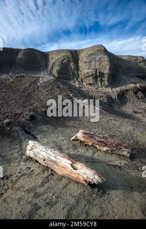Der versteinerte Wald von José de Ormachea in Patagonien, Argentinien. Stockfoto