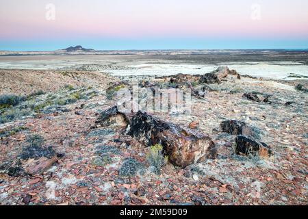 Der versteinerte Wald von Jaramillo in Patagonien, Argentinien. Stockfoto