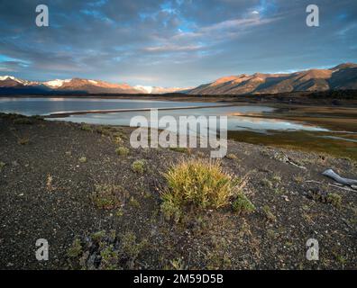 Im Los Glaciares Nationalpark in Süd-Patagonien, Argentinien. Stockfoto