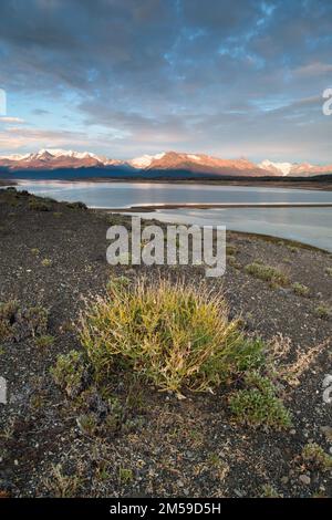 Im Los Glaciares Nationalpark in Süd-Patagonien, Argentinien. Stockfoto