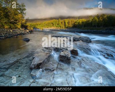 Im Abisko Nationalpark in Nordschweden, Lappland. Stockfoto