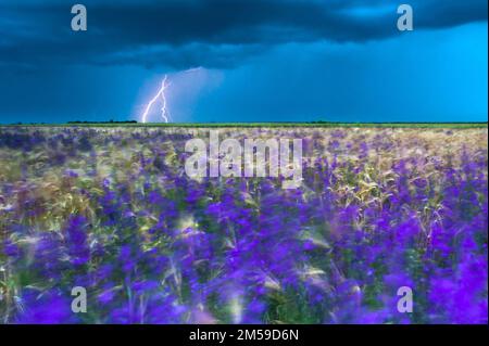 Ein Gewitter in Rumänien. Stockfoto