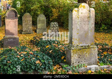 Deutschland, Gescher, Berkel, Naturpark hohe Mark Westmuensterland, Muensterland, Westfalen, Nordrhein-Westfalen, NRW, Judischer Friedhof, Grabmale, Stockfoto