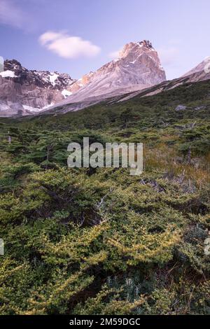 Im Torres del Paine Nationalpark in Süd-Patagonien, Chile. Stockfoto